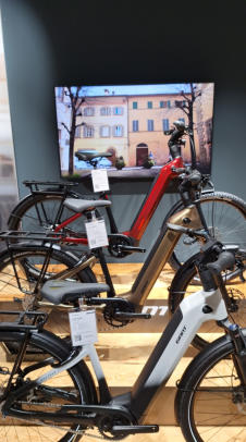 GIANT Anytour X  Modelle