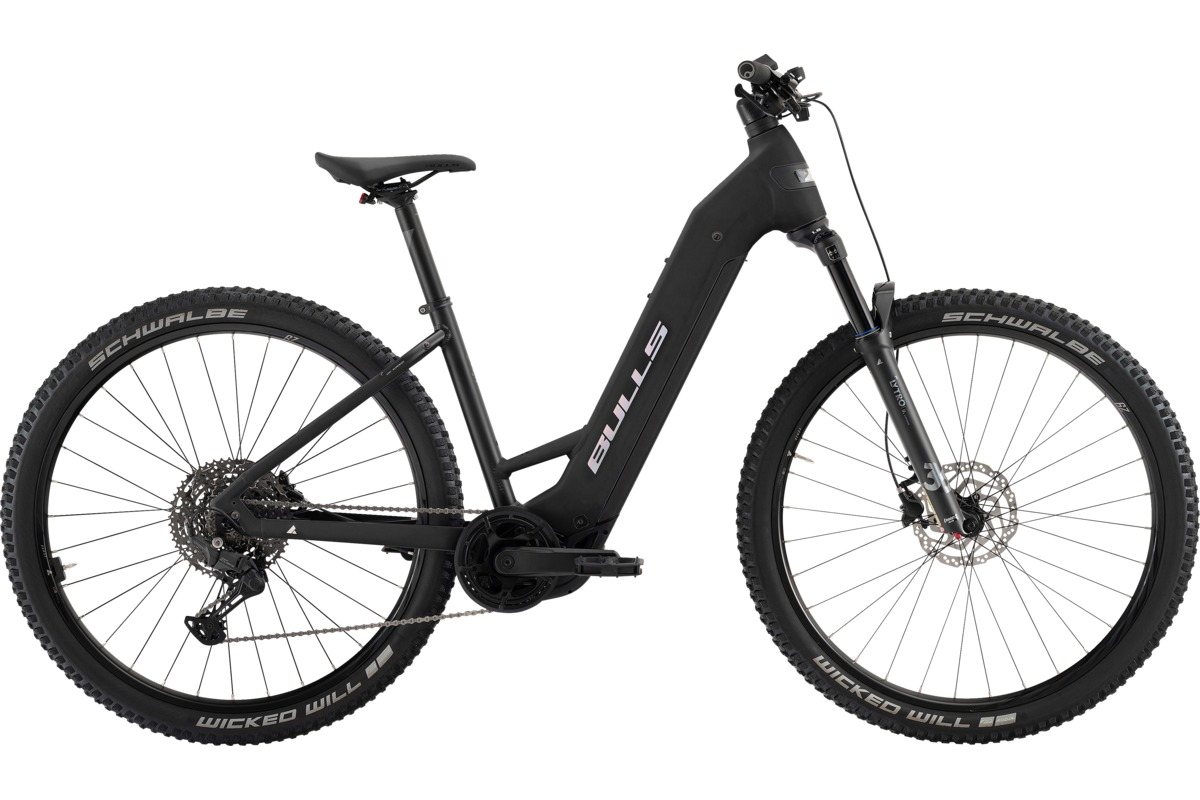 E-Bike mit Bosch CX Performance Line Mittelmotor im Detail
