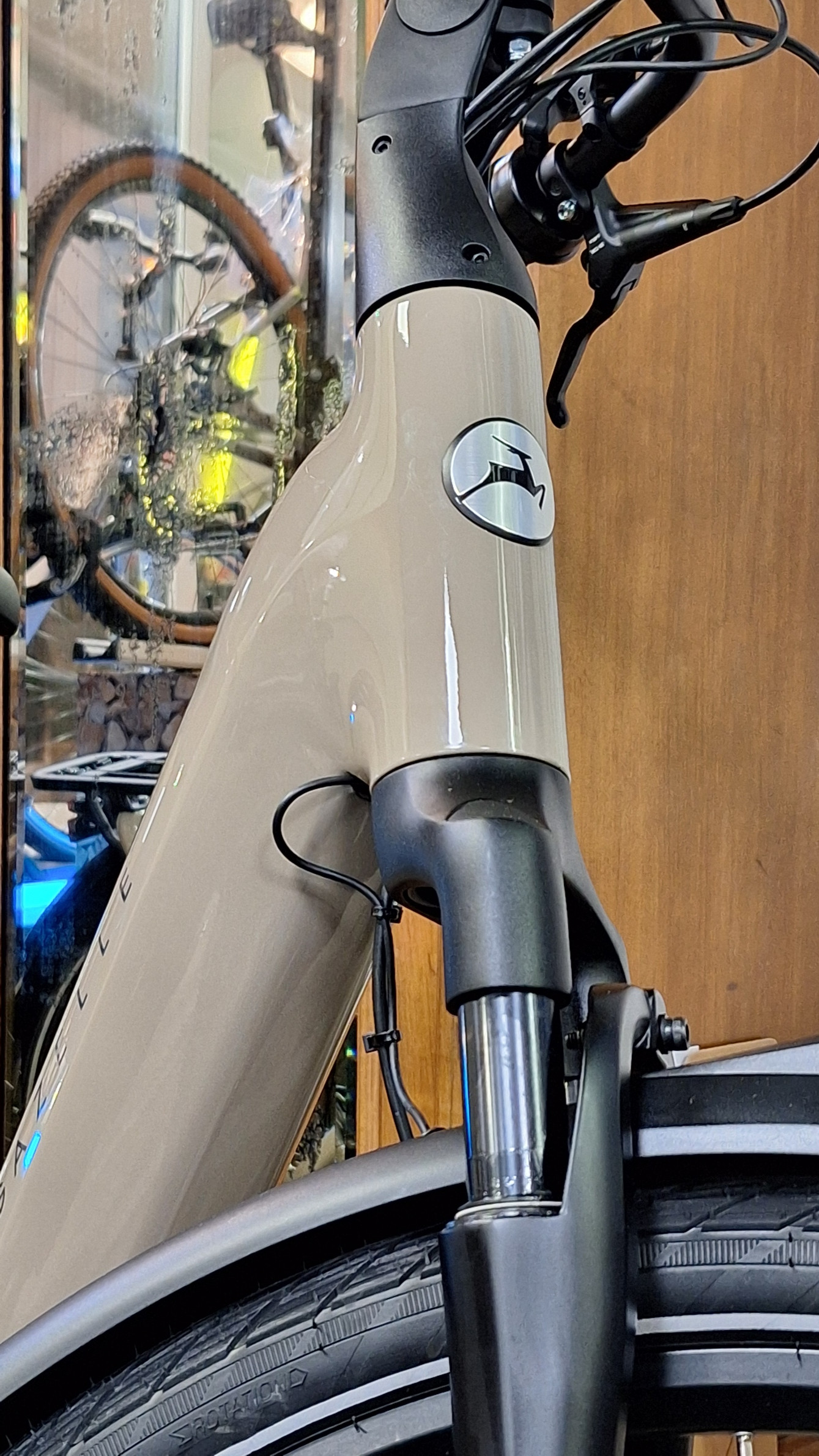 Gazelle E-Bike