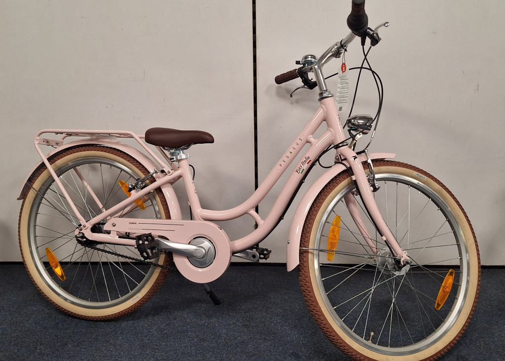 Pegasus Bici Italia