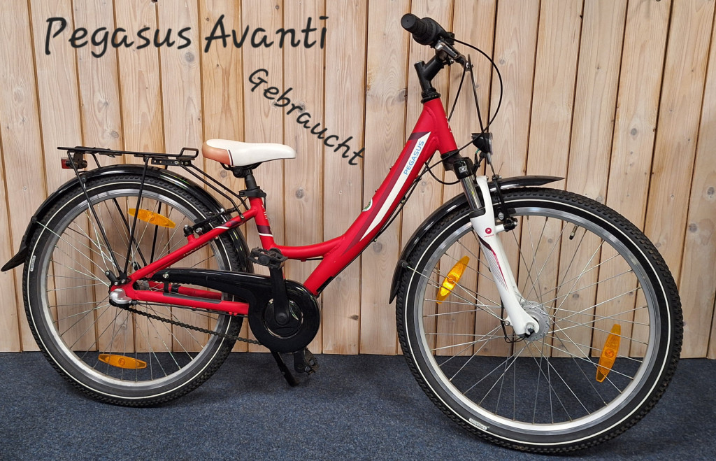 Pegasus Gebrauchtes Kinderrad